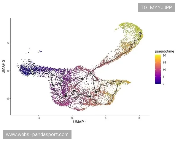 橄榄球数据分析技术进阶，球员速度轨迹成模型关键因素